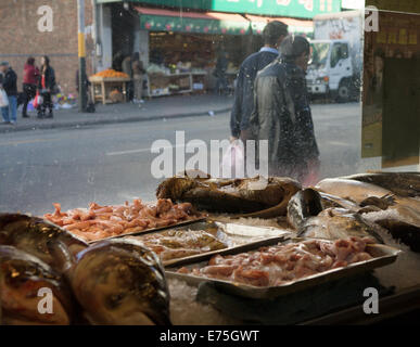 Frischer Fisch zum Verkauf in San Franciscos Chinatown. Stockfoto