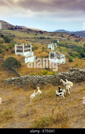 Einige der ältesten Taubenschläge in der Ägäis befinden sich in der Nähe von Tarambados Dorf auf der Insel Tinos, Kykladen, Griechenland Stockfoto