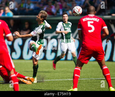 Portland, Oregon, USA. 7. September 2014. Portlands GASTON FERNANDEZ (10) nimmt einen Schuss auf das Tor. Die Portland Timbers spielen den San José Earthquakes in Providence Park am 7. September 2014. Bildnachweis: David Blair/ZUMA Draht/Alamy Live-Nachrichten Stockfoto