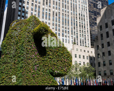 Jeff Koons' Split Rocker Formschnitt, Rockefeller Center, 30 Rockefeller Plaza Haupteingang, NYC Stockfoto