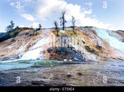 Horizontales Bild von Mammoth Hot Springs im nördlichen Teil des Yellowstone National Park mit toten Bäumen, blauen Himmel und Wolken in Stockfoto