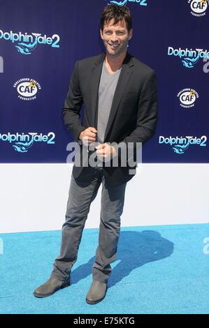 Los Angeles, Kalifornien, USA. 7. Sep, 2014. Sep 07, statt im Regency Village Theater, Westwood 2014 - Los Angeles, Kalifornien, USA - Sänger/Schauspieler HARRY CONNICK JR auf der "Dolphin Tale 2" Los Angeles Premiere. Bildnachweis: Paul Fenton/ZUMA Draht/Alamy Live-Nachrichten Stockfoto