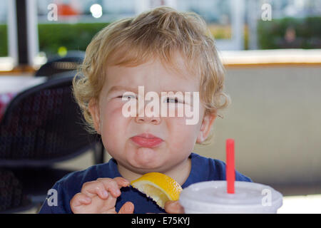 Miesepeter-Little Boy eine Zitrone zum ersten Mal ausprobieren. Stockfoto