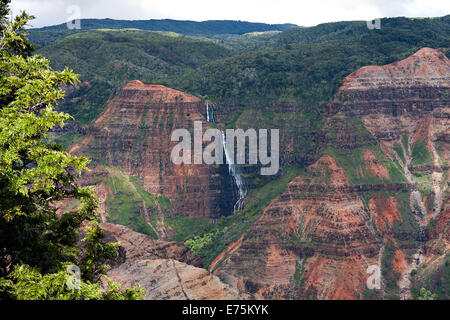 Waipo'o fällt Overlook, Kauai, Hawaii Stockfoto