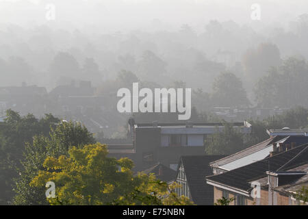 Wimbledon, London, UK. 08. Sep, 2014. UK-Wetter. Bäume und Landschaft in Morgen Dunst Kredit abgedeckt: Amer Ghazzal/Alamy Live-Nachrichten Stockfoto