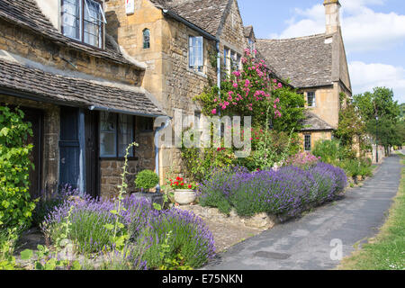 Lavendel wächst vor Cotswold Cottages, Broadway, Worcestershire, England, UK Stockfoto