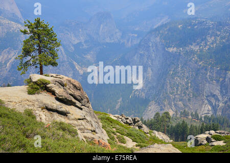 Washburn Point, Yosemite-Nationalpark, Kalifornien Stockfoto