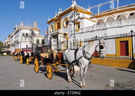 Horse-drawn Wagen, Plaza de Toros De La Maestranza Stierkampfarena, Museum, Sevilla, Andalusien, Spanien Stockfoto
