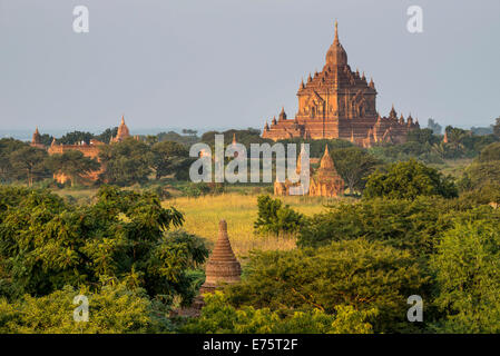 Stupas, Tempeln und Pagoden in der Tempelanlage von der Hochebene von Bagan, Mandalay-Division, Myanmar oder Burma Stockfoto