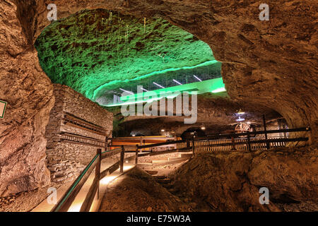 Besucher-tour durch das Salz mine in Bex. Das grüne Licht kommt aus einen Konferenzraum für Tagungen gebucht werden kann.  T Stockfoto