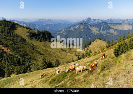 Wallenburg Alm am Mt Croda Rossa oder Rotwand, Mt Risserkogel rechts am Rücken, Spitzingsee-Seengebiet Stockfoto