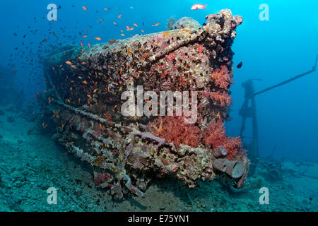 Bahnhof zart, Ladung auf das Wrack der SS Thistlegorm, Rotes Meer, Shaab Ali Sinai-Halbinsel, Ägypten Stockfoto