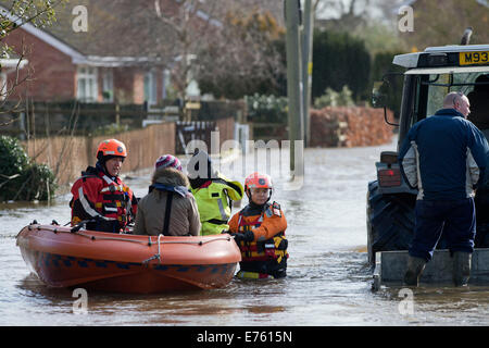 Überschwemmungen an der Somerset Ebene - ein Bewohner von Moor wird aus ihrem Haus gerettet, von BARB (Burnham-on-Sea-Bereich Rescue Boat) Stockfoto