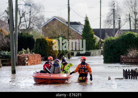 Überschwemmungen an der Somerset Ebene - ein Bewohner von Moor wird aus ihrem Haus gerettet, von BARB (Burnham-on-Sea-Bereich Rescue Boat) Stockfoto