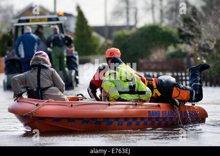 Überschwemmungen an der Somerset Ebene - ein Bewohner von Moor wird aus ihrem Haus gerettet, von BARB (Burnham-on-Sea-Bereich Rescue Boat) Stockfoto