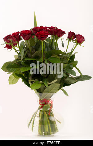 Rote Rosen in vase Stockfoto