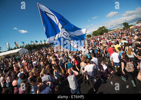 Festivalbesucher halten ja Fahnen beim T In The Park Festival zur Unterstützung der schottischen Unabhängigkeit. Stockfoto