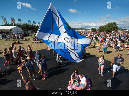 Festivalbesucher halten ja Fahnen beim T In The Park Festival zur Unterstützung der schottischen Unabhängigkeit. Stockfoto