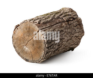 Trockenes stumpfes isoliert auf einem weißen Hintergrund Stockfoto