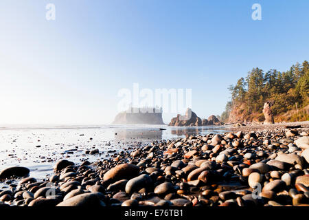 Strand und Meer-Stack in Ruby Beach, Olympic Nationalpark Washington Stockfoto