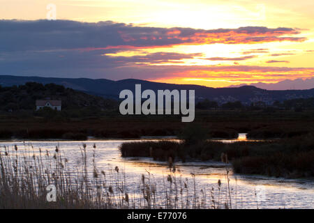 Blick über Salzwiesen bei Sonnenuntergang. Von Ile St. Martin in Richtung Narbonne. Aude, Frankreich. April. Stockfoto