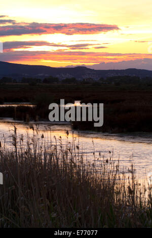 Blick über Salzwiesen bei Sonnenuntergang. Von Ile St. Martin in Richtung Narbonne. Aude, Frankreich. April. Stockfoto