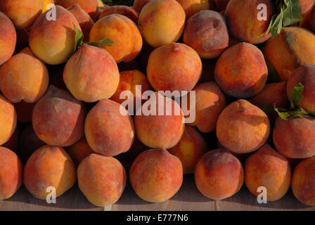 Gelbe Fleisch Pfirsiche auf einem Markt in Spanien. Stockfoto