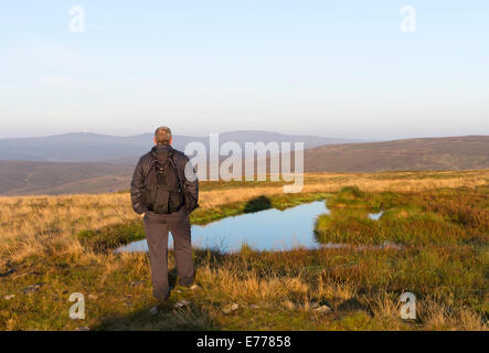 Walker, genießen den Blick in Richtung Kreuz fiel und die Dun Fells aus hohen Feld, große steinige Hügel, Teesdale, County Durham UK Stockfoto