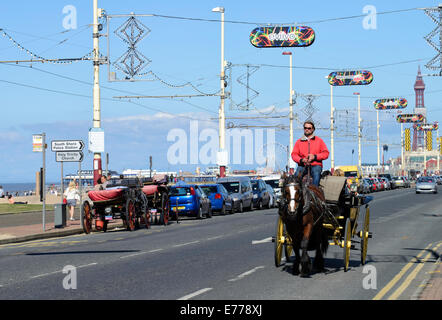 Pferdekutschen offener Laufwagen am Meer Straße neben der Promenade von Blackpool, Lancashire Stockfoto