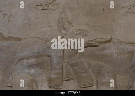 Ägypten. Edfu. Tempel des Horus. Relief Darstellung der Schakal-headed Gott Anubis. Stockfoto