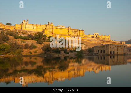 Amber Fort spiegelt sich in Maota See, Jaipur, Rajasthan, Indien. Stockfoto