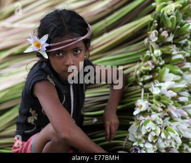 Dhaka, Bangladesch. 8. Sep, 2014. Ein Kind mit lily.water Seerose, die nationale Blume von Bangladesh.The Existenz von einigen Landwirten Feuchtgebiet basiert auf Seerose, die Landwirtschaft, die sie für etwa sechs bis sieben Monate im Jahr zu tun. Bauern nehmen ihre kleinen Boote Seerosen zu holen und auf dem Markt zu verkaufen. Bildnachweis: Zakir Hossain Chowdhury/ZUMA Draht/Alamy Live-Nachrichten Stockfoto