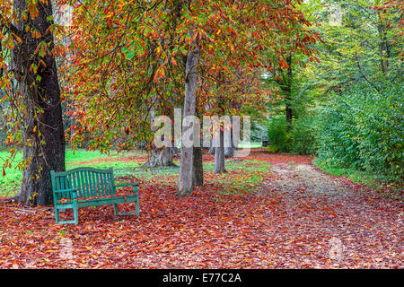 Einsame Bank auf den Boden fallenden Rotes Laub im herbstlichen Park von Racconigi, Italien. Stockfoto