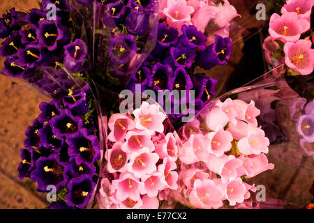 Blumen zum Verkauf in Aix-En-Provence Blumenmarkt Stockfoto