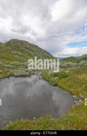 Bild von Telemark, Norwegen, Sommerlandschaft im Rauland, 1200 m Meter über dem Meeresspiegel Stockfoto