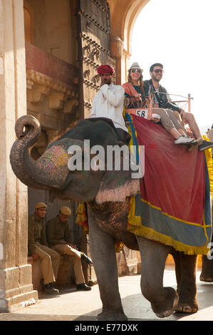 Touristen fahren Elefanten bis zu Amber Fort, Jaipur, Rajasthan, Indien. Stockfoto