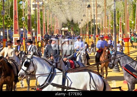 Pferd und Kutsche, jährliche Pferdemesse, Jerez De La Frontera, Provinz Cadiz, Andalusien, Spanien, Süd-West-Europa Stockfoto