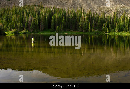 Fliegenfischer Fang von Forellen im Bergsee in der Nähe von Boulder, Colorado, USA Stockfoto