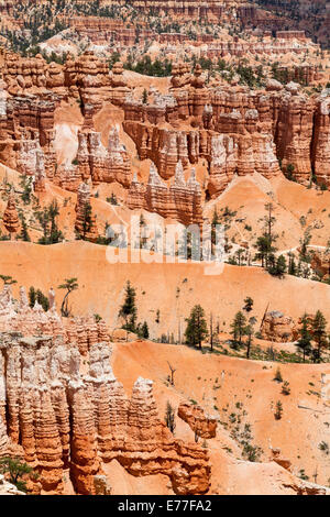 Orange Kalkstein Hoodoos geologische Besonderheiten in den westlichen Vereinigten Staaten. Stockfoto