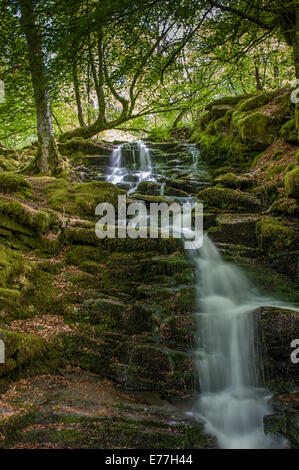 Wasserfälle am kleinen Bach in Moness Schlucht, auch bekannt als Birks Aberfeldy Stockfoto