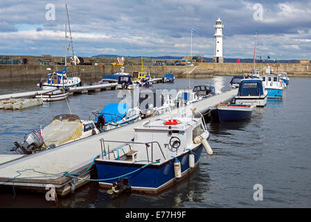 Ein ruhiger Morgen in Newhaven Harbour über den Firth of Forth in Edinburgh, Schottland, Großbritannien. Stockfoto