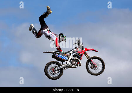 Mitglied der Bolddog Lings Freestyle Motocross Display Team führt Stunts an die Great Dorset Steam Fair, Tarrant Hinton Stockfoto