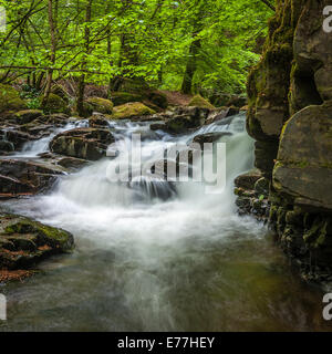 Moness Schlucht, auch bekannt als Birks von Aberfeldy Aberfeldy Stockfoto