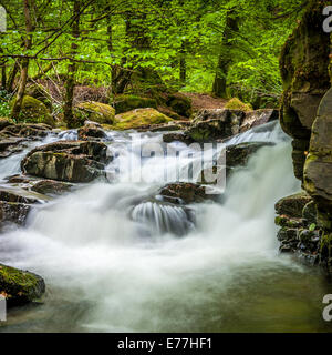 Wasserfälle am Fluss im Moness Schlucht, auch bekannt als Birks Aberfeldy Stockfoto