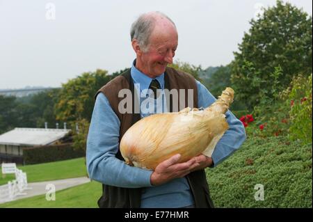 Harrogate, Yorkshire, Großbritannien. 8. September 2014. Harrogate Herbst zeigen Peter Glazebrook Weltrekordhalter für die schwerste Zwiebel immer gewachsen auf 18£ 1/2 Unze Credit: Keith fördern/Alamy Live-Nachrichten Stockfoto