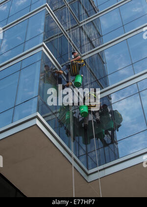 Fenster-Scheiben, The Ritz-Carlton Fensterputzen in White Plains, New York, USA, 8. September 2014, © Katharine Andriotis Stockfoto