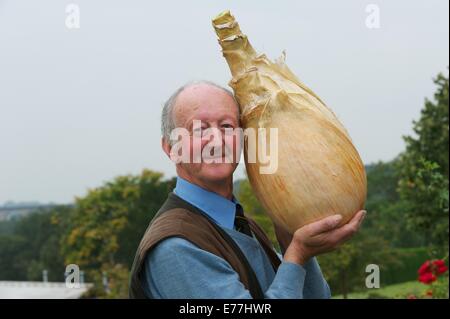 Harrogate, Yorkshire, Großbritannien. 8. September 2014. Harrogate Herbst zeigen Peter Glazebrook Weltrekordhalter für die schwerste Zwiebel immer gewachsen auf 18£ 1/2 Unze Credit: Keith fördern/Alamy Live-Nachrichten Stockfoto