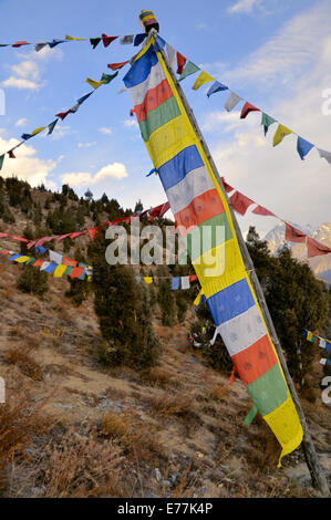 Malerischer Blick auf bunte buddhistischen Fahnen hängen über Bäume in Himachal Pradesh, Indien Stockfoto