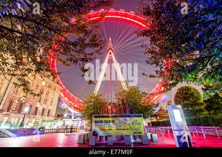 London Eye Night Bäume Erbe Rad Damm Stockfoto