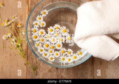 Kamille in Schüssel mit Wasser für die Hände Stockfoto